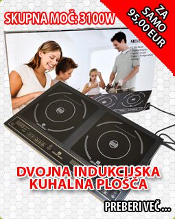 Velika indukcija