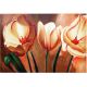 Slika na platnu - motiv tulipani
